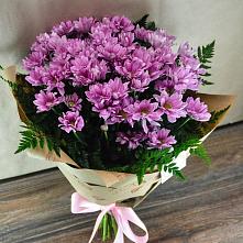 Букет цветов из:  Хризантемы #REPLACE_PRED# Маслянино