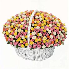 Премиум букет из: Розы в Маслянино