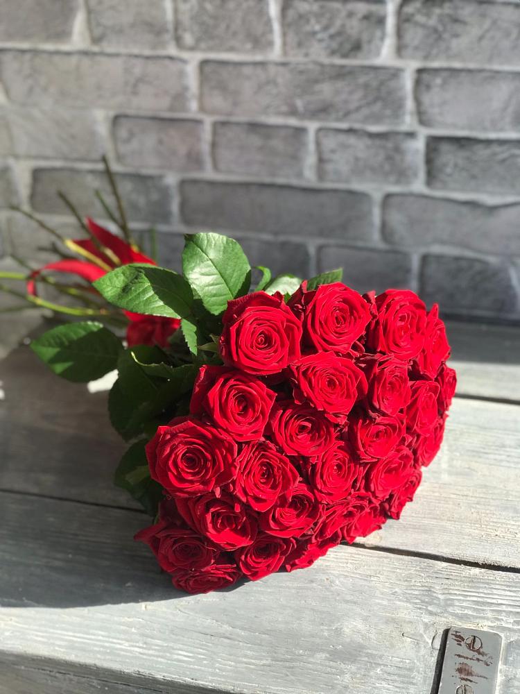 Букет Красные розы Фридом в Маслянино