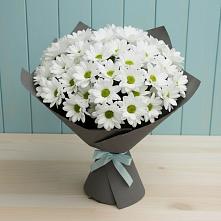 Букет цветов из:  Хризантемы #REPLACE_PRED# Маслянино